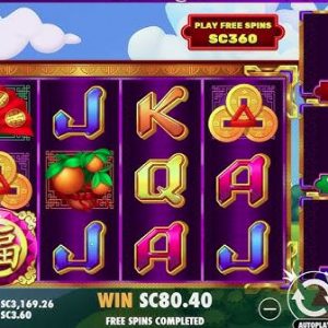 The Role of RNG in Online Slots: What You Need to Know